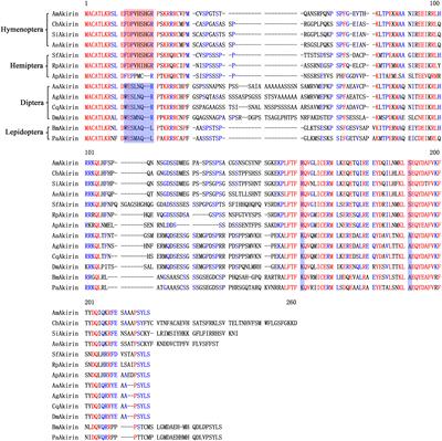 Characterization of the Akirin Gene and Its Role in the NF-κB Signaling Pathway of Sogatella furcifera